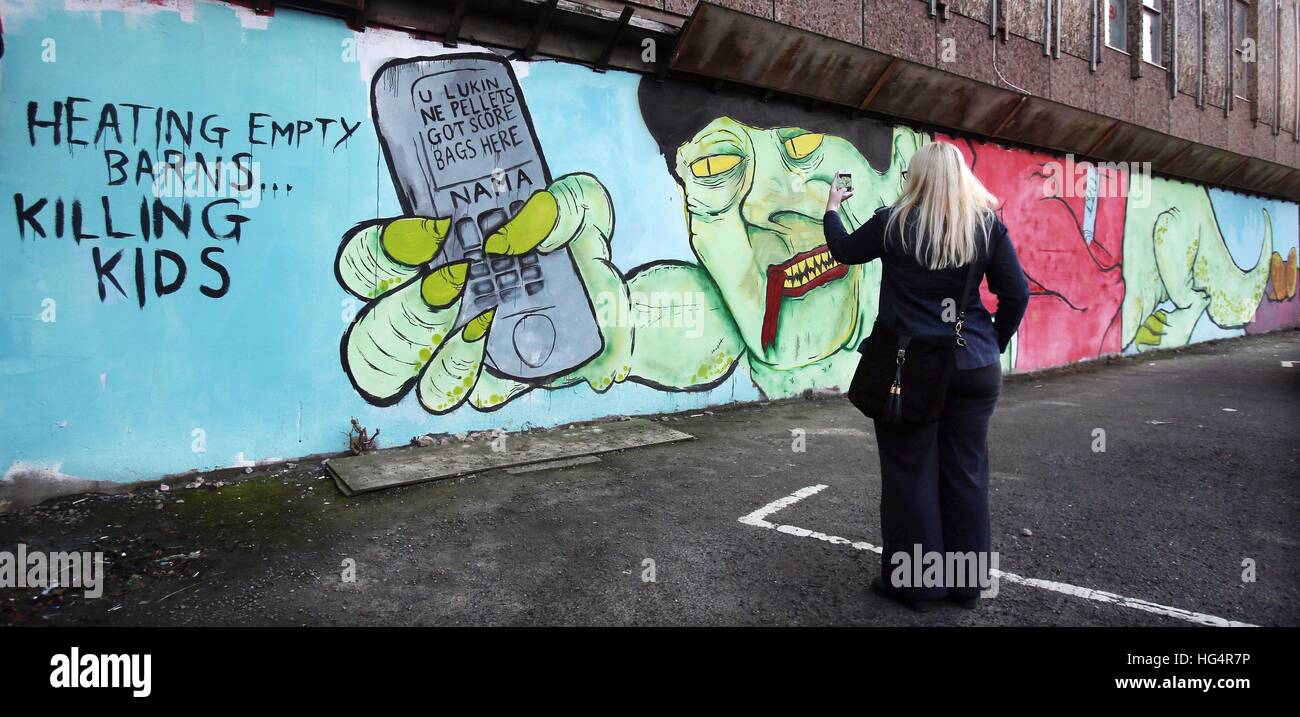 Ein Mitglied der Öffentlichkeit schaut ein Wandbild Referenzierung der erneuerbaren Wärme Anreiz (RHI) Krise und Nordirland ersten Minister Arlene Foster in einem Parkhaus Belfast City Centre. Stockfoto