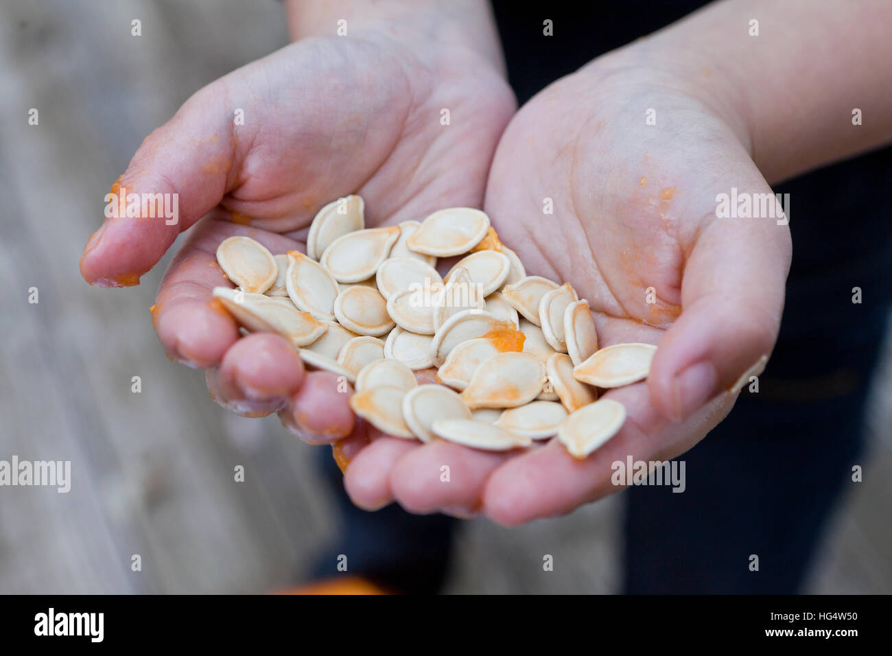 Kind mit Kürbiskernen in Händen - USA Stockfoto