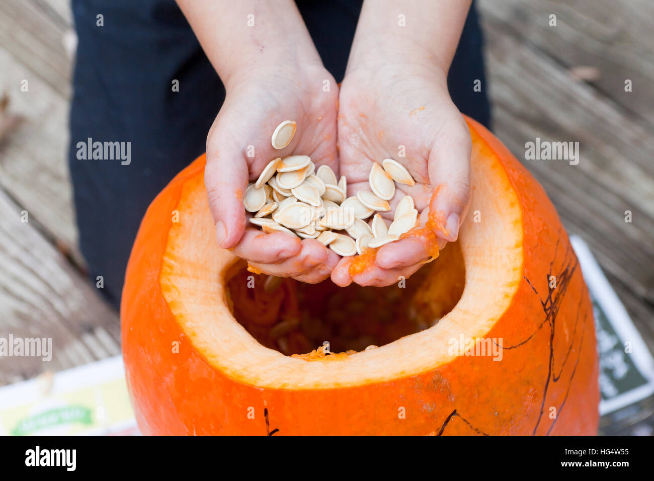 Kind entfernen Samen aus einem Kürbis - USA Stockfoto