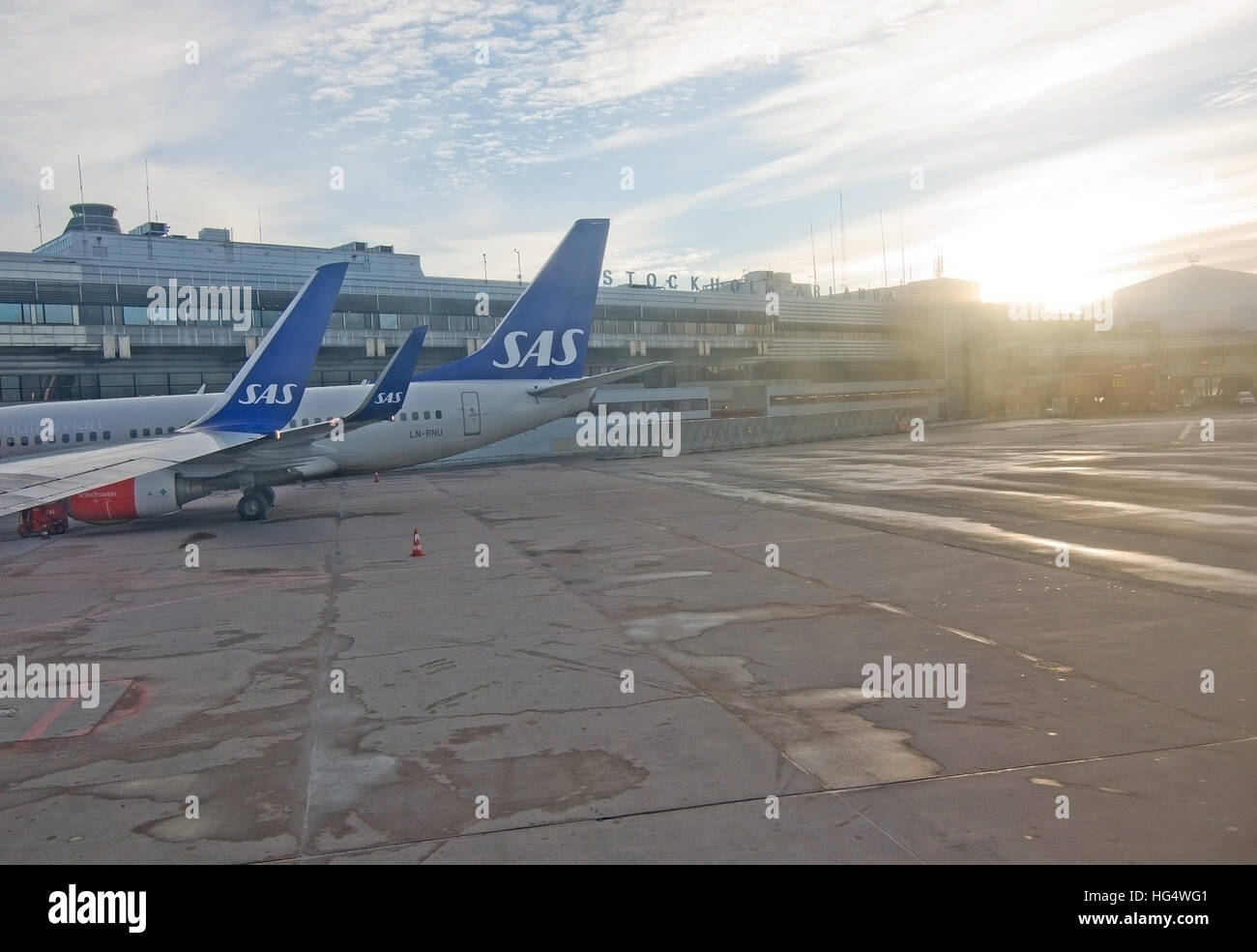 Scandinavian Airlines Jetliner Line-up vor den Toren am Flughafen Stockholm Arlanda an einem sonnigen Tag im Dezember. Stockfoto
