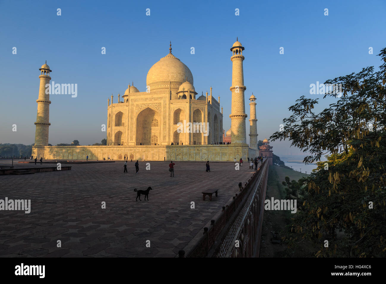 Taj Mahal, Agra, Indien Stockfoto