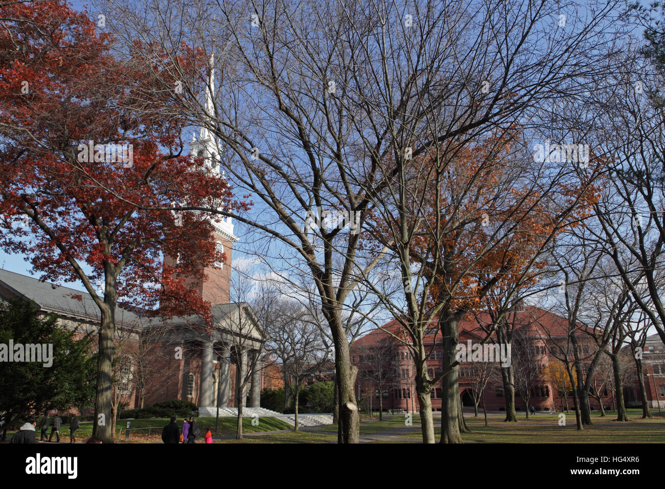 Campus der Harvard Universität an einem Herbstmorgen. Der Turm der Gedächtniskirche erscheint auf der linken Seite und Sever Halle vor. Stockfoto