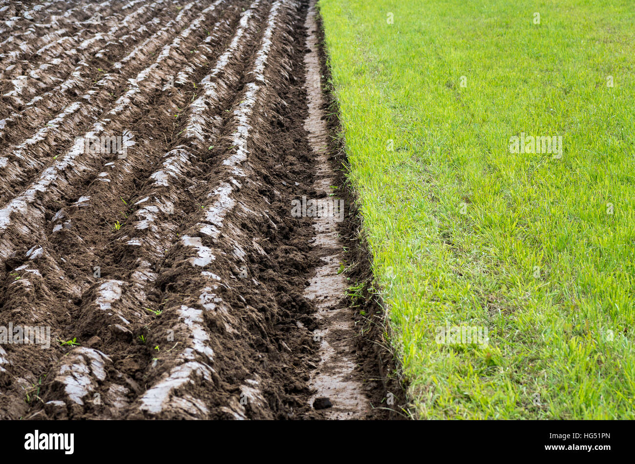 Landschaft im ländlichen Raum - eine halbe Feld gepflügt. Grass und Erde. Stockfoto