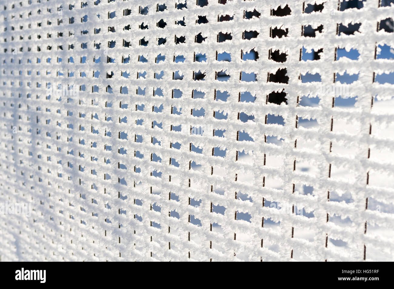 Detail des net, Zaun, von Schnee und Raureif bedeckt. Stockfoto