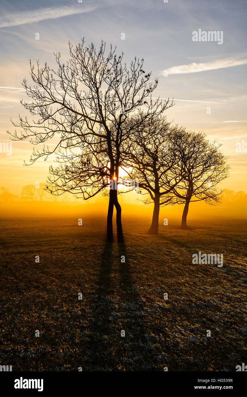 Frostigen Felder mit langen Schatten und Nebel in der Nähe von Garstang Lancashire England Stockfoto