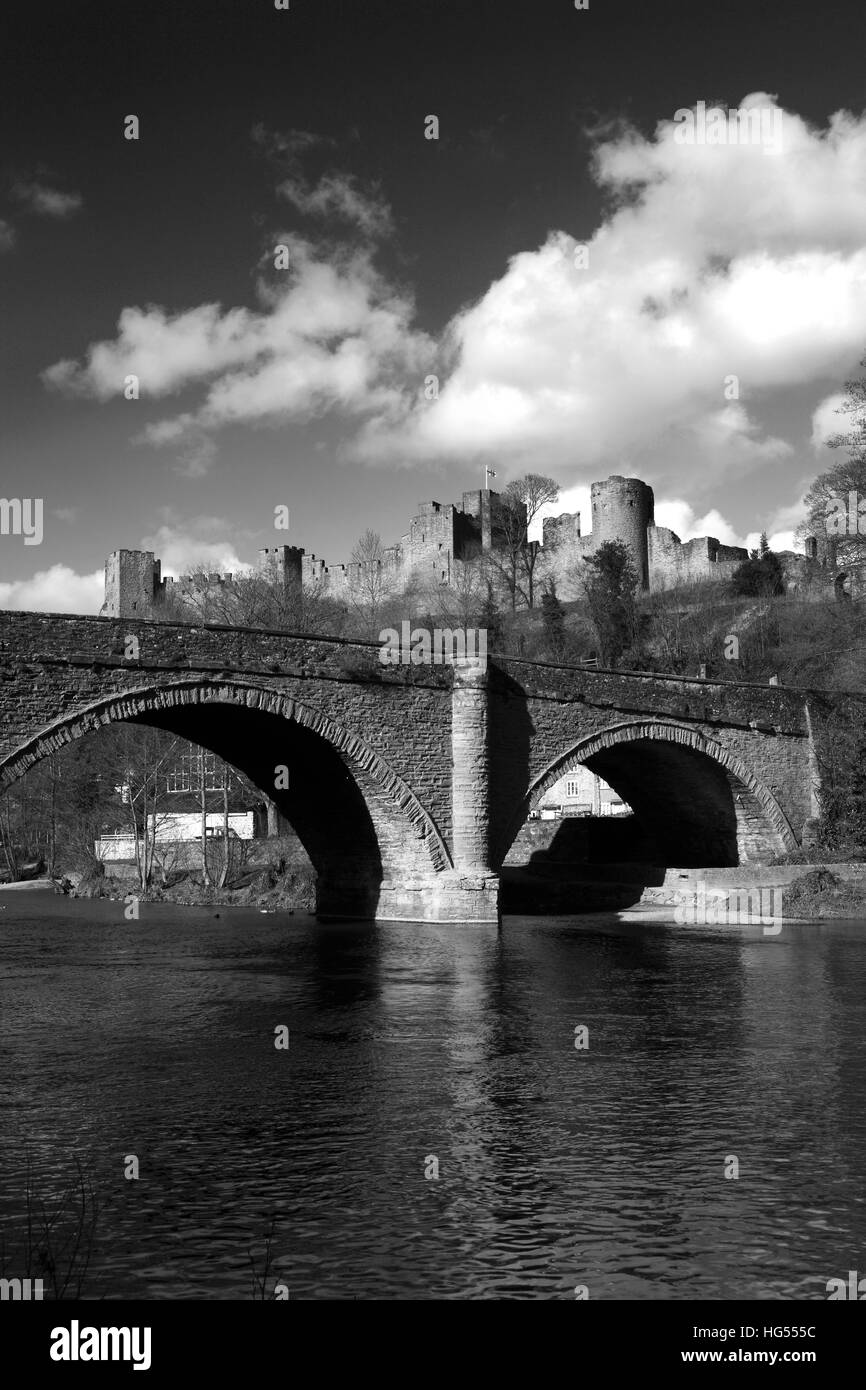Frühling, Ludlow Castle, Ludlow Stadt, Grafschaft Shropshire, England, UK Stockfoto