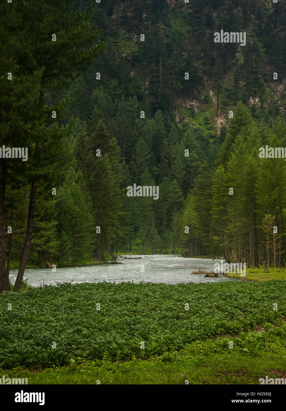 Mutter Natur Stockfoto