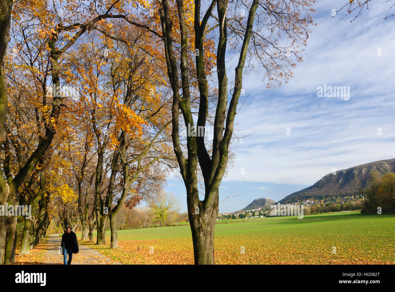 Hainburg an der Donau: Blick auf den Schlossberg, Donau, Niederösterreich, Niederösterreich, Österreich Stockfoto