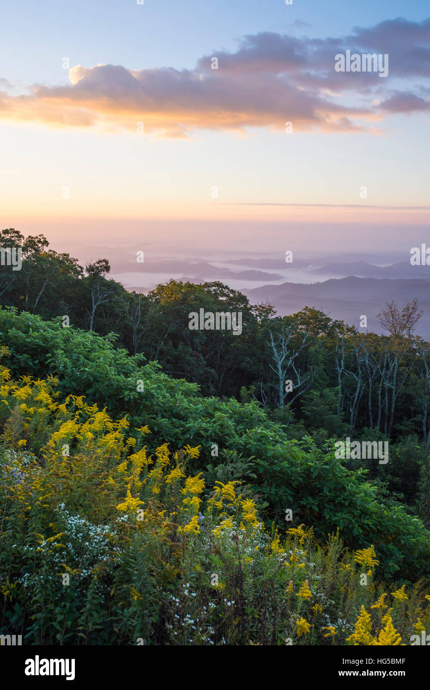 Goldene Stäbe und Sonnenaufgang über den Blue Ridge Mountains, North Carolina, Vereinigte Staaten von Amerika, Nordamerika Stockfoto