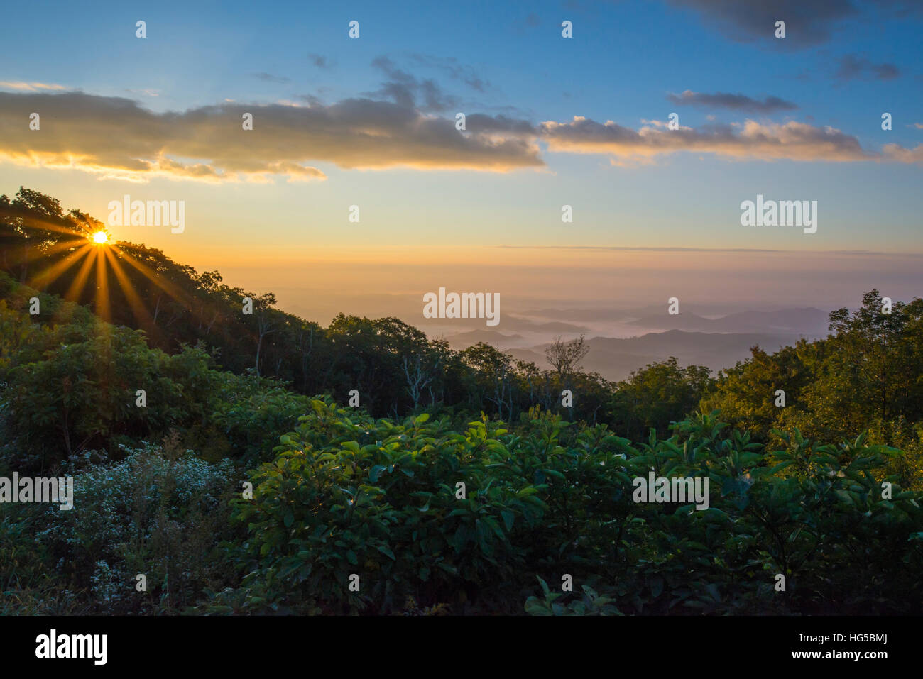 Sonnenaufgang über den Blue Ridge Mountains, North Carolina, Vereinigte Staaten von Amerika, Nordamerika Stockfoto