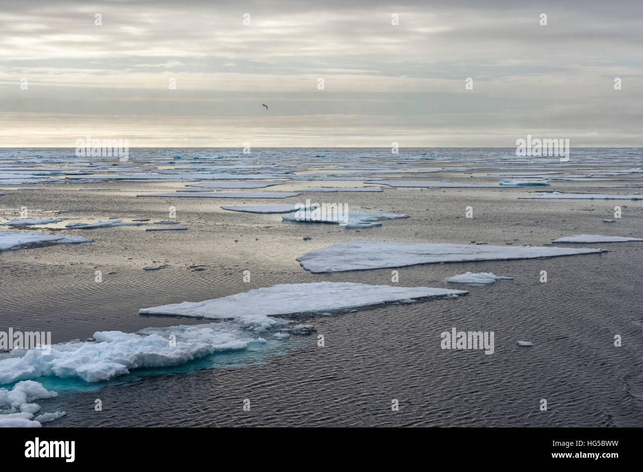 Nordpolarmeer, Norwegen, Skandinavien Stockfoto