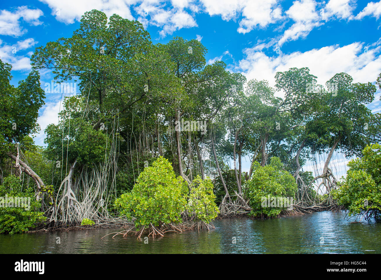 Kristallklares Wasser in der Lagune Utwe, UNESCO-Biosphärenreservat, Kosrae, Föderierte Staaten von Mikronesien, South Pacific Stockfoto