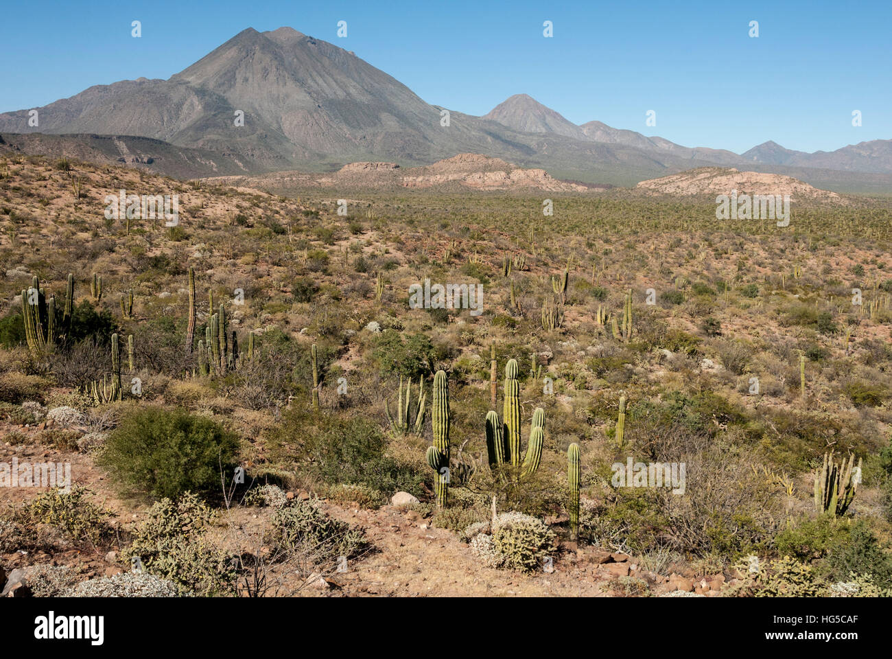 Volcan Las Tres Jungfrauen, Santa Rosalia, Baja California, Mexiko, Nordamerika Stockfoto