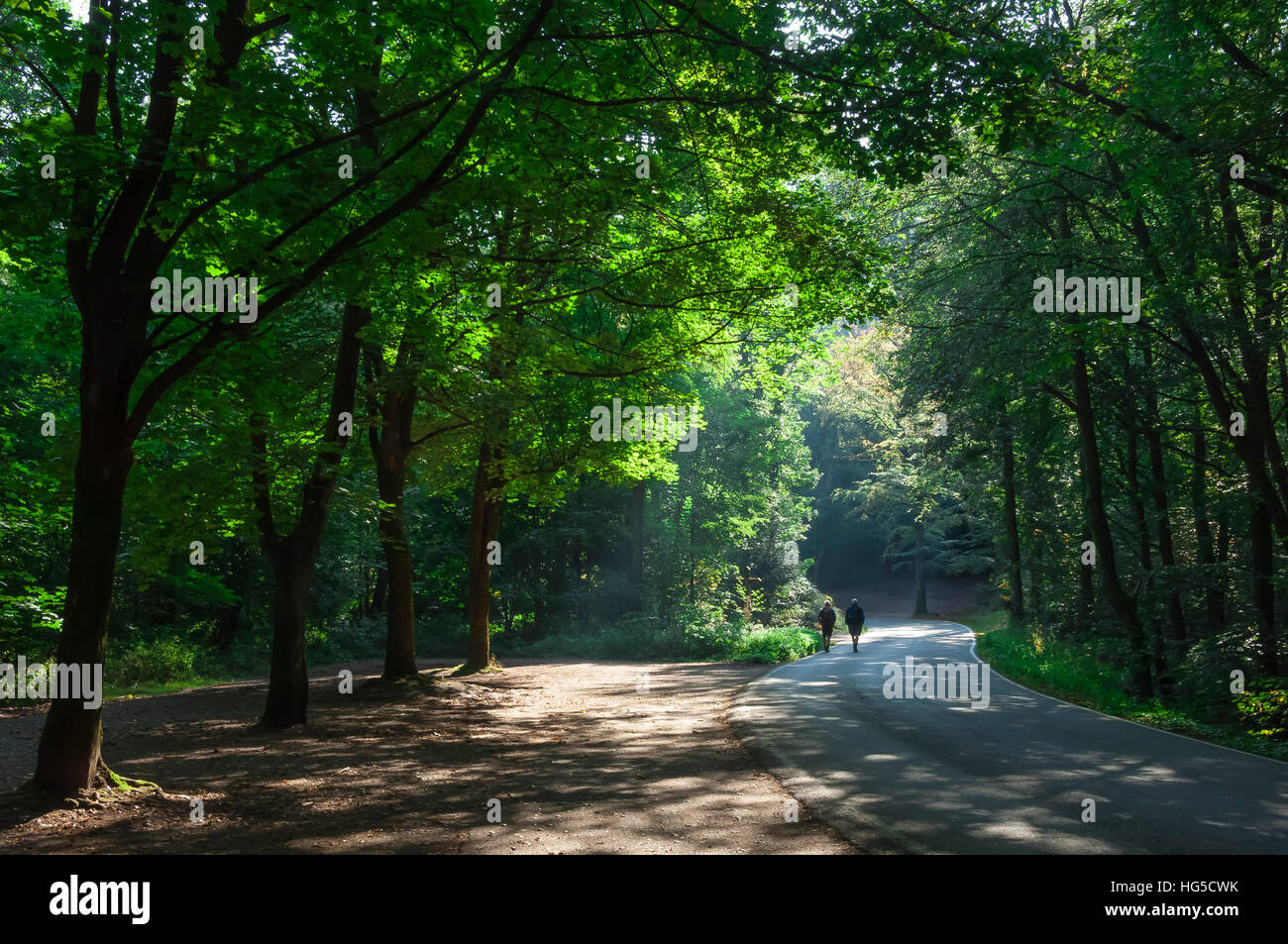 Wanderer auf einem Waldweg im Bereich Pfalz, Deutschland Stockfoto