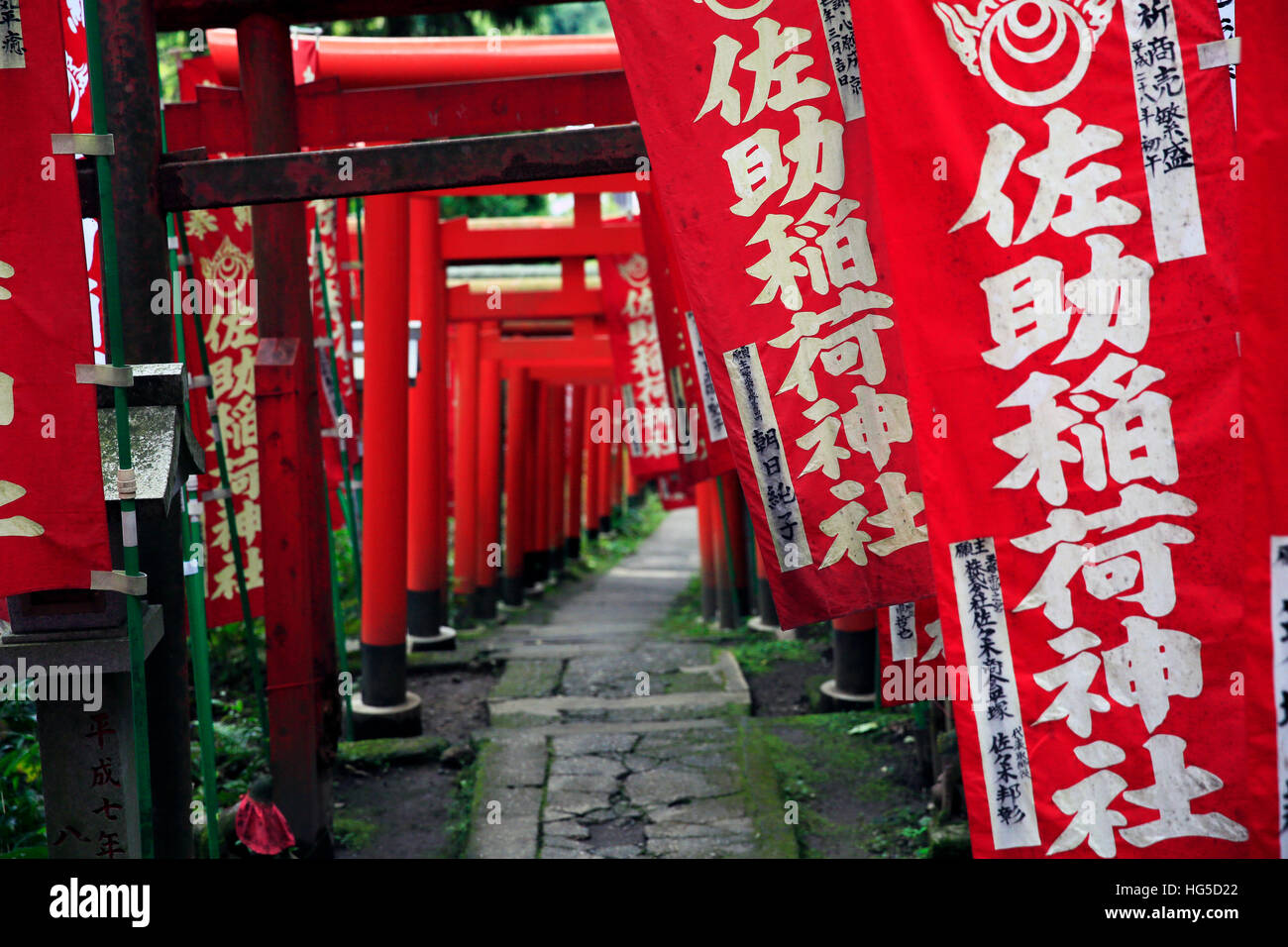 Gasse in Kamakura Hügel, Honshu, Japan, Asien Stockfoto