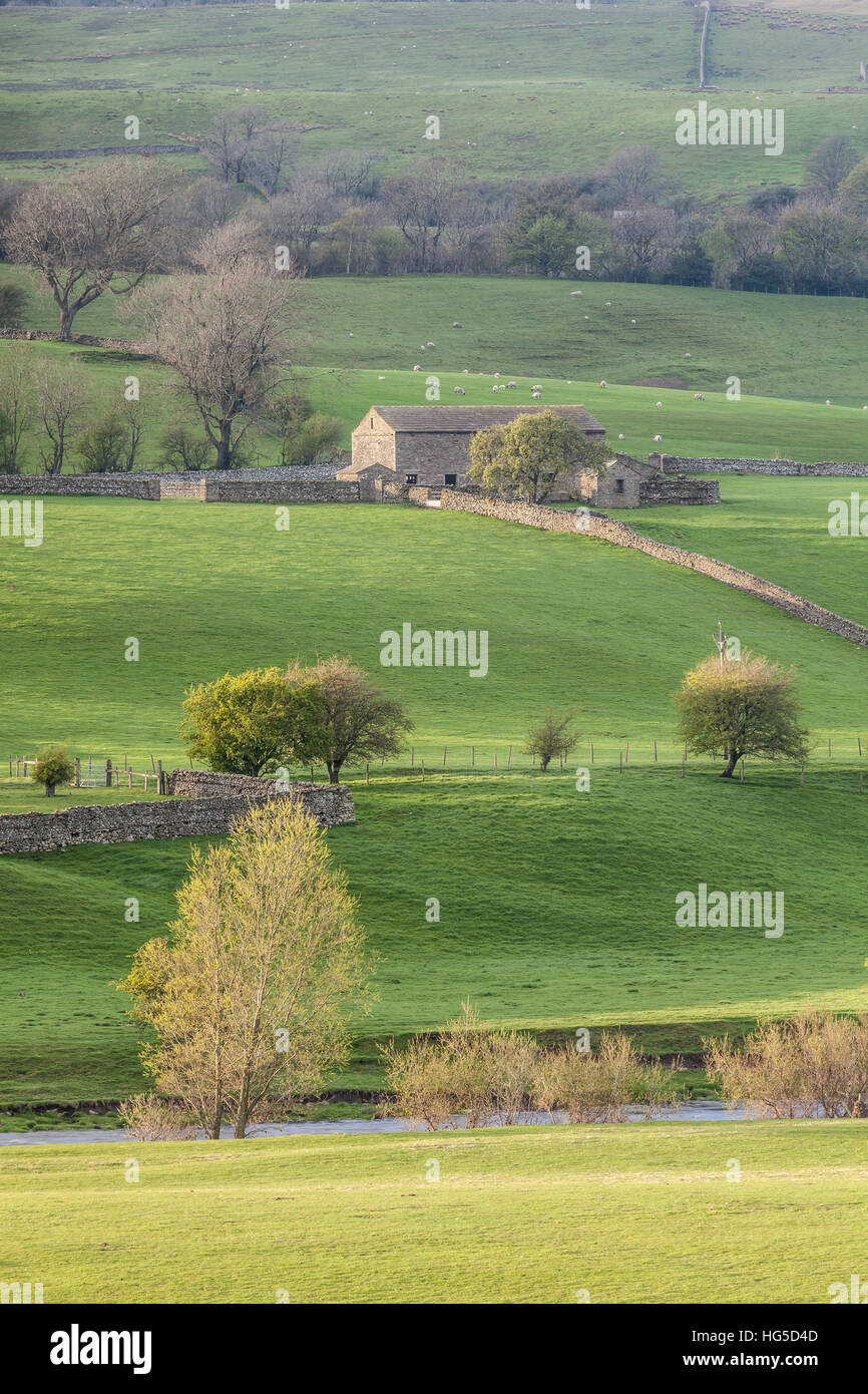 Stein-Scheune in den Yorkshire Dales National Park, Yorkshire, England, Vereinigtes Königreich Stockfoto