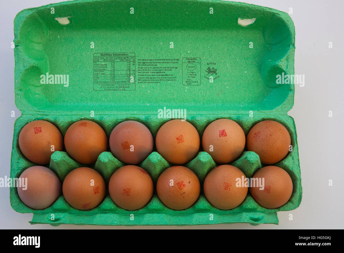 Nahaufnahme zwölf britischen braun Freilandeier in grüner Eierkarton RSPCA gewährleistet gesunde Ernährung weißen Hintergrund Stockfoto