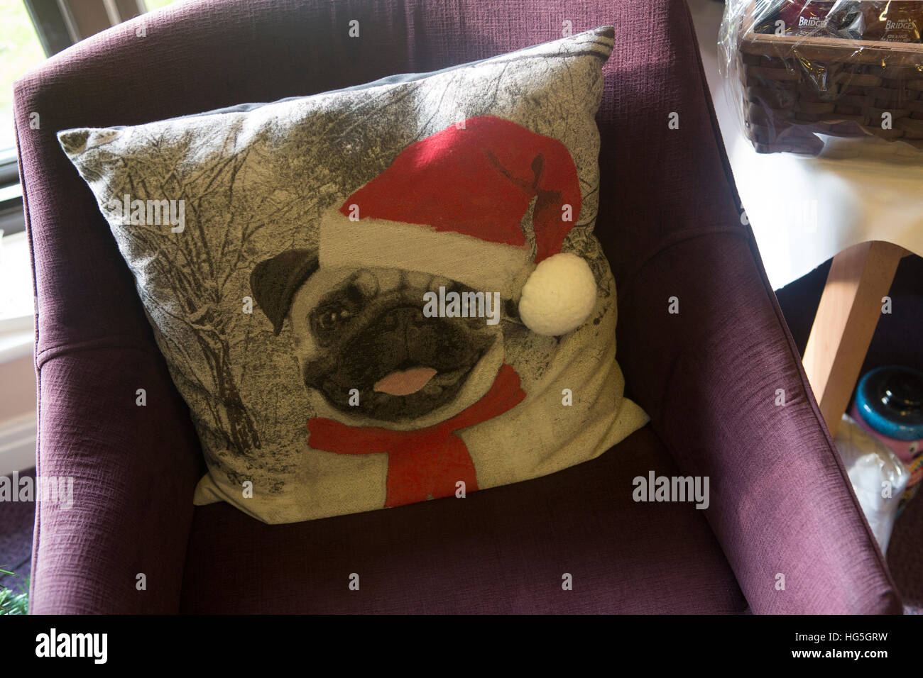Hund-Kissen mit Porträt des Mopses in eine Weihnachtsmann-Mütze. Stockfoto