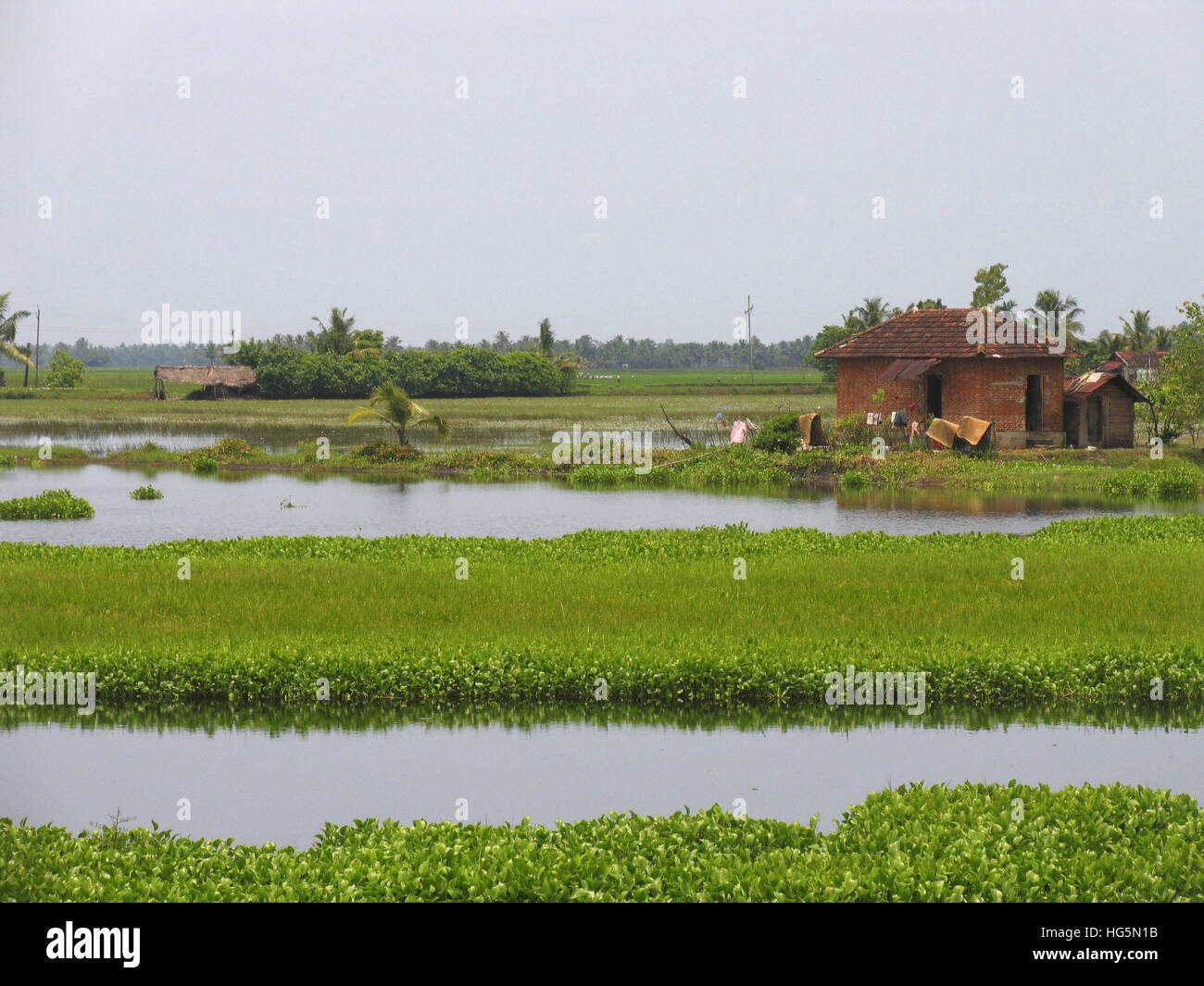 landliche szene mit hutte wasser korper und grune felder tagari kerala indien hg5n1b