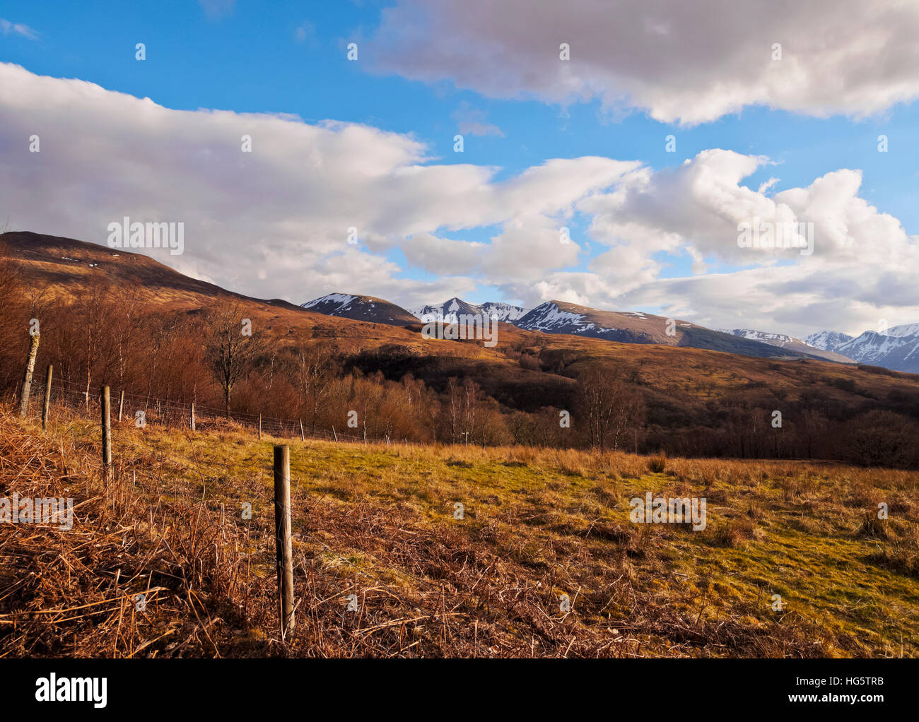 Großbritannien, Schottland, Highlands, Roy Bridge, Blick Richtung Stob Ban und die grauen Hochgebirgsflora. Stockfoto