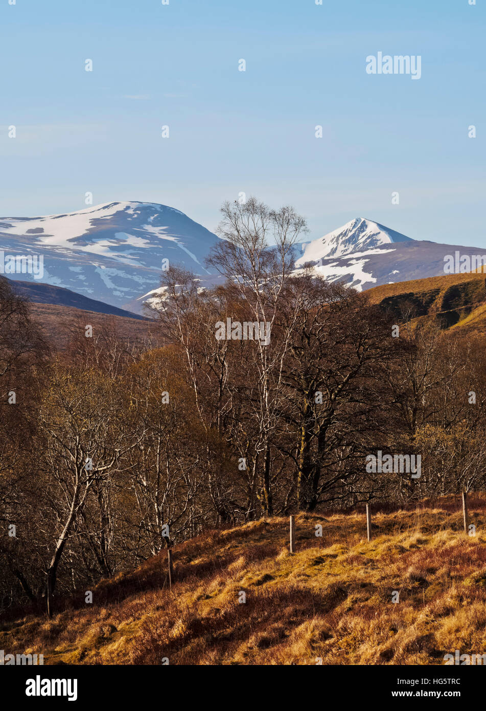 Großbritannien, Schottland, Highlands, Roy Bridge, Blick Richtung Stob Ban und die grauen Hochgebirgsflora. Stockfoto
