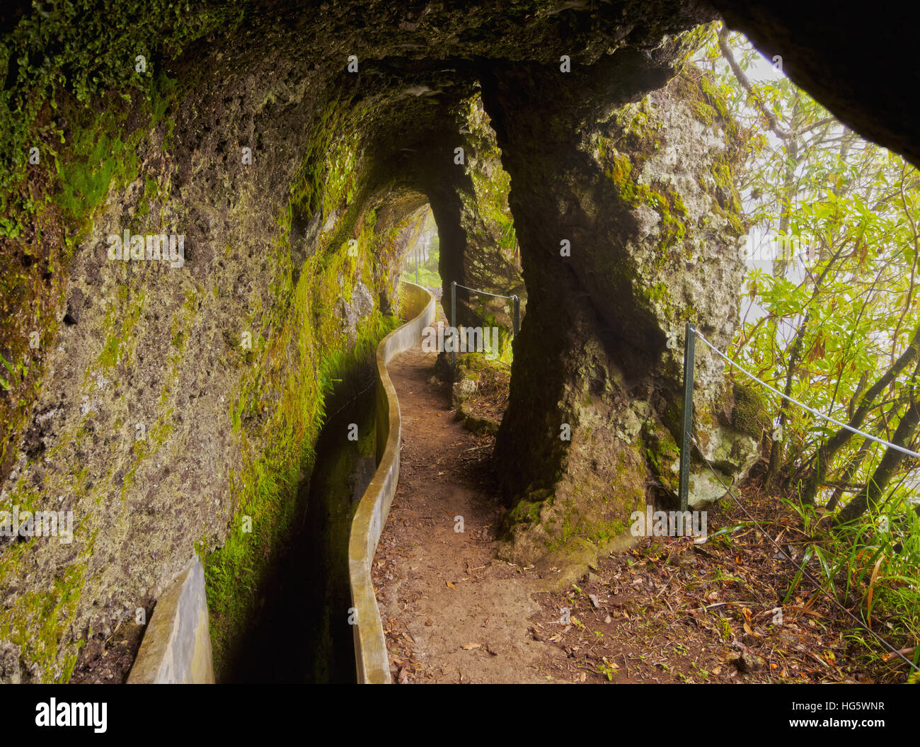 Portugal, Madeira, Blick auf die Levada da Serra tun Faial auf dem Teil von Ribeiro Frio, Portela. Stockfoto