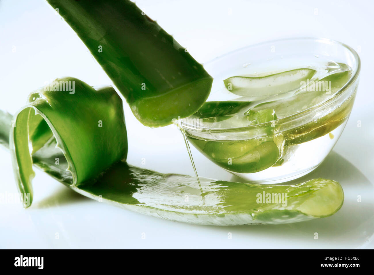 Aloe Vera Gel in einer Schssel mit Stcken der Aloe Vera Pflanze  Stockfotografie - Alamy