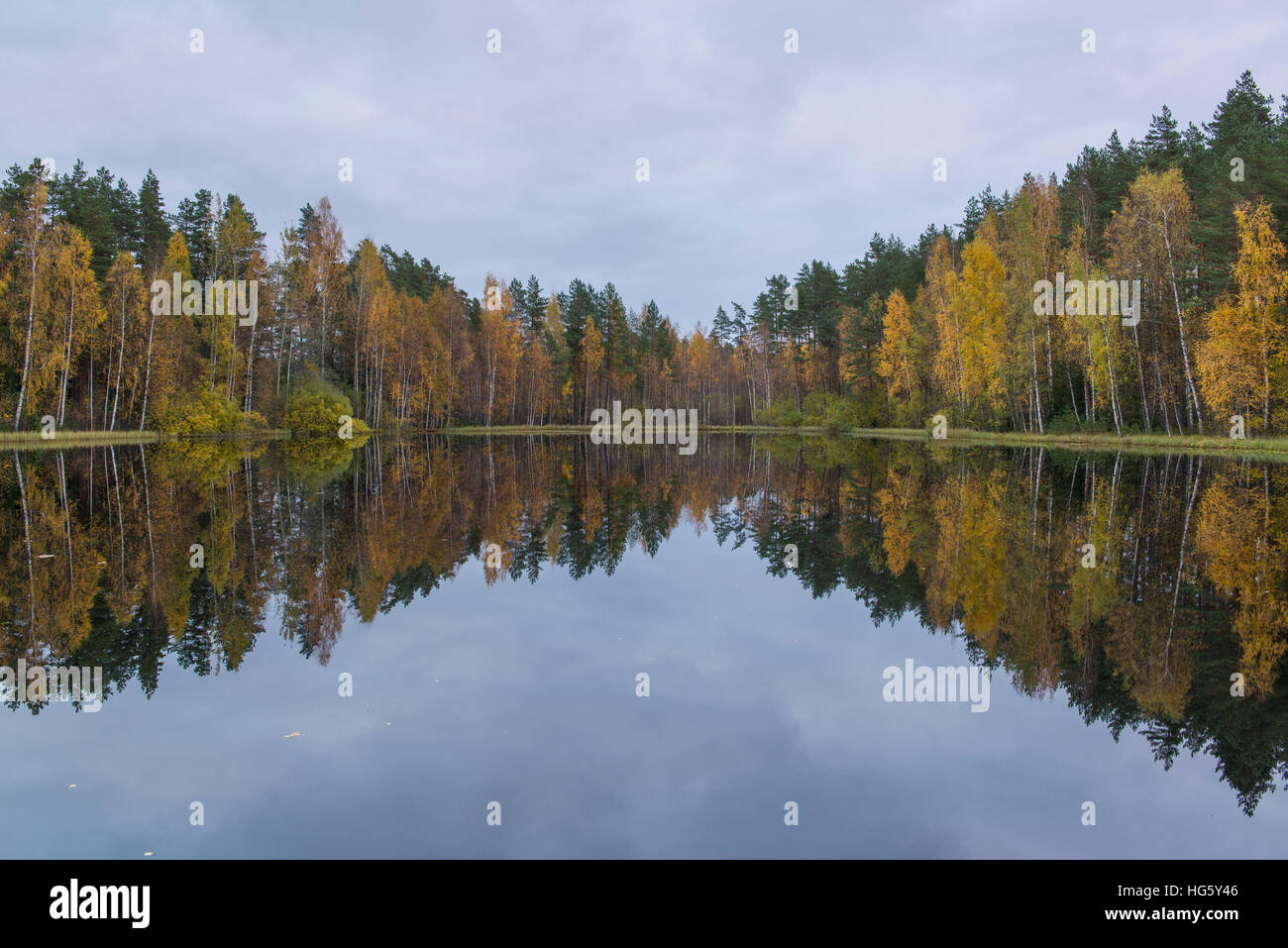 Kleinen See im Wald im Herbst Stockfoto