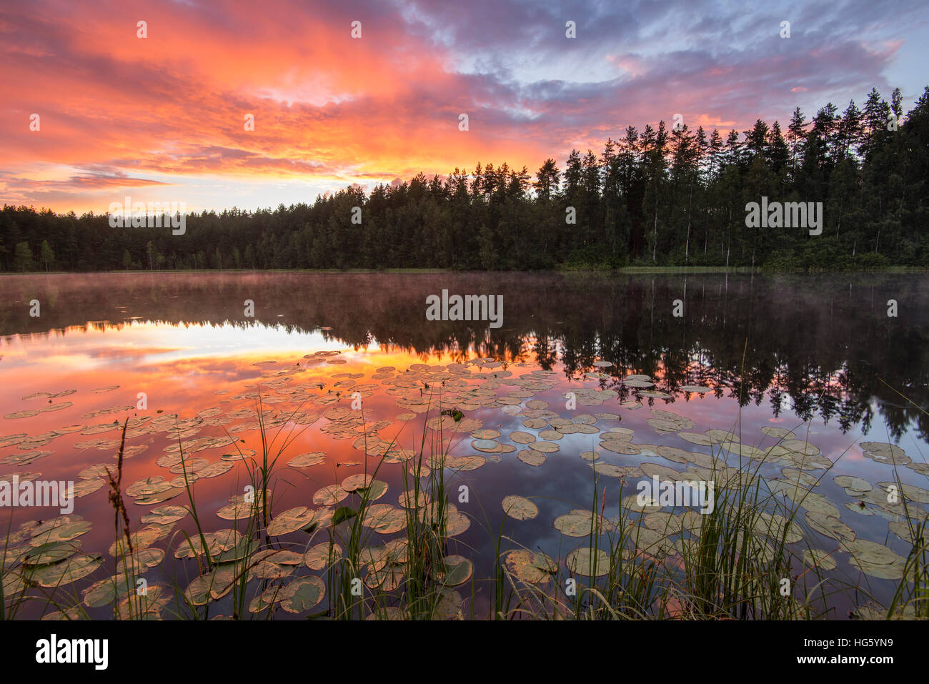 Sonnenuntergang auf dem kleinen See im Wald Stockfoto