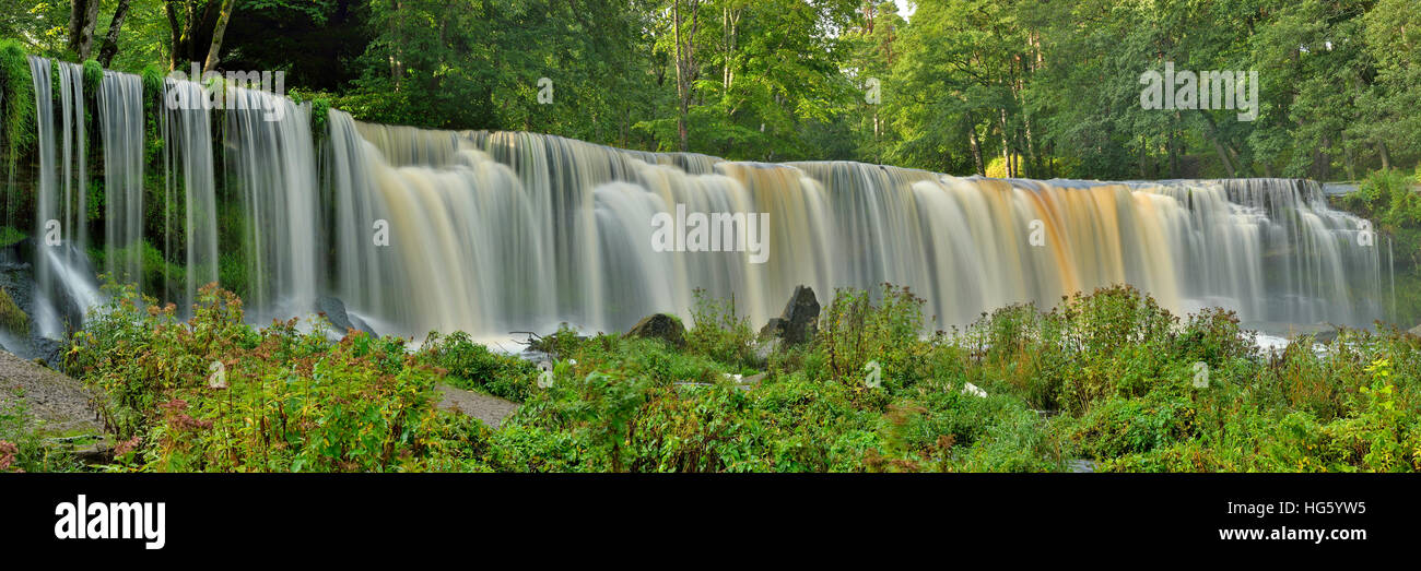 Wasserfall im Wald Stockfoto
