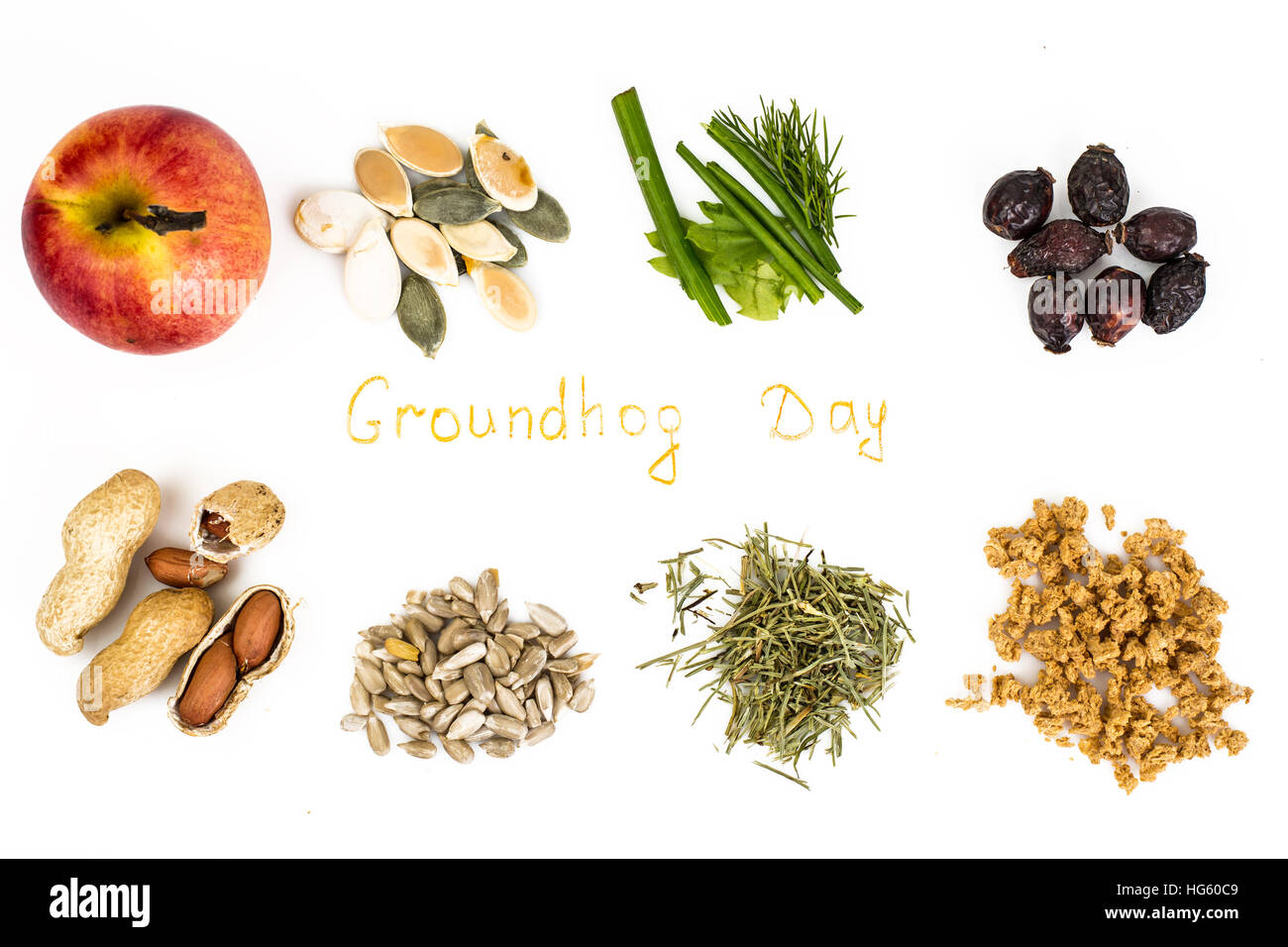 Groundhog Day Stockfoto