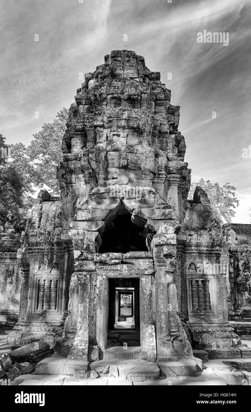 Ta Prohm Tür in Siem Reap, Kambodscha, Asien Stockfoto