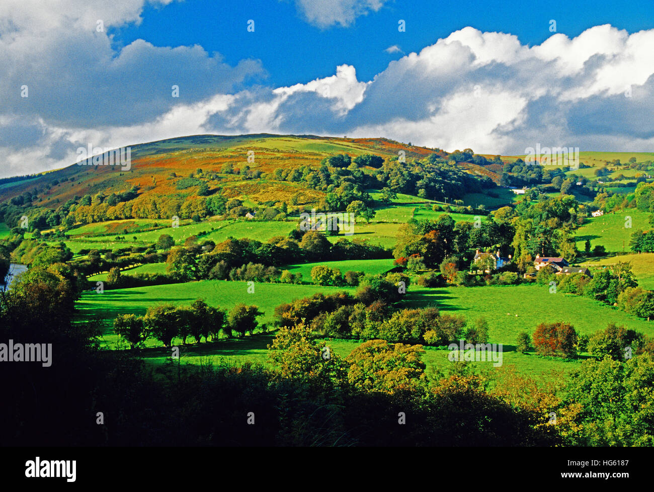 Pastorale Landschaft im Tal des Flusses Dee Landschaft in Wales. Stockfoto