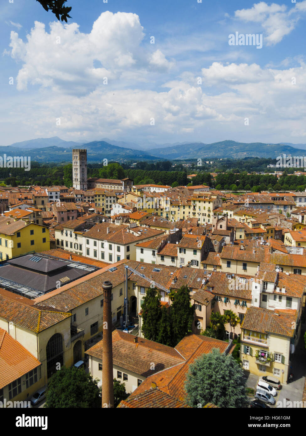 Blick über Lucca, Italien mit der Basilika von San Frediano im Hintergrund. Stockfoto