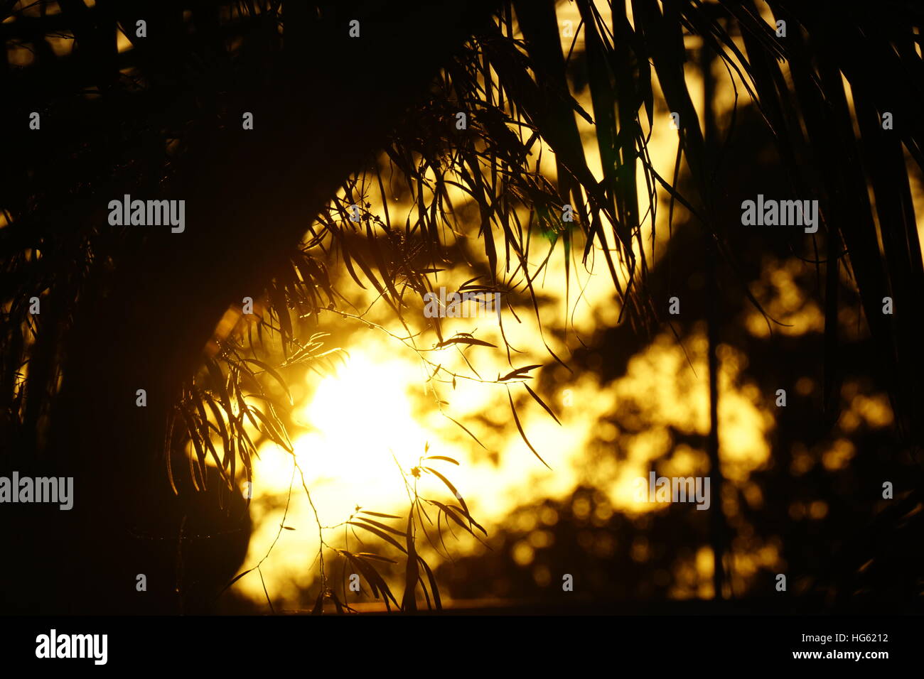 Sonnenuntergang im Hintergrund mit einer Niederlassung im Fokus im Vordergrund. Stockfoto