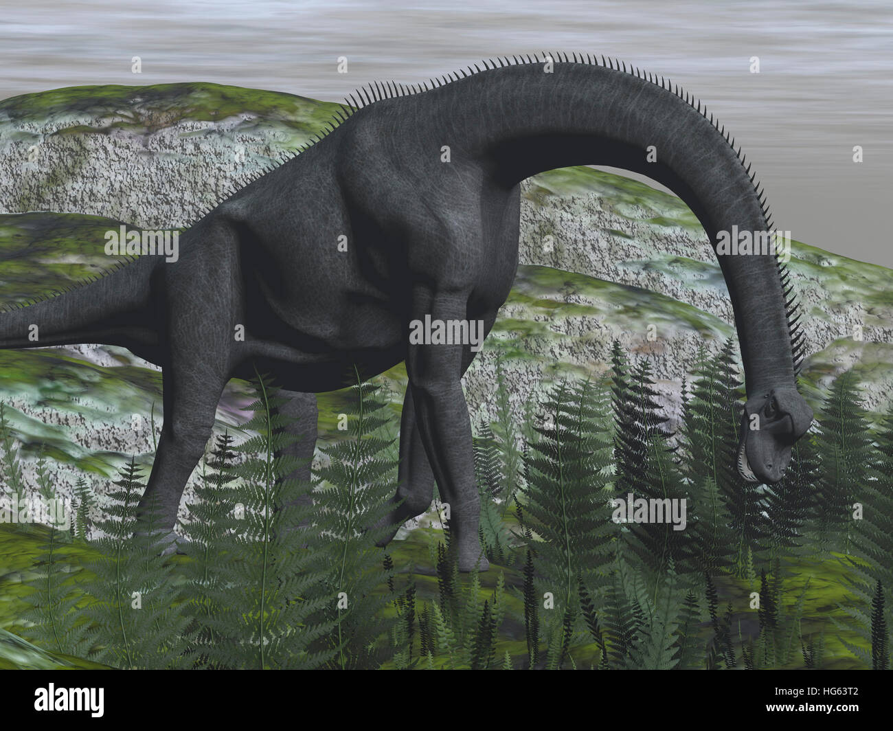 Brachiosaurus Dinosaurier Farn-Pflanzen auf dem Boden zu essen. Stockfoto
