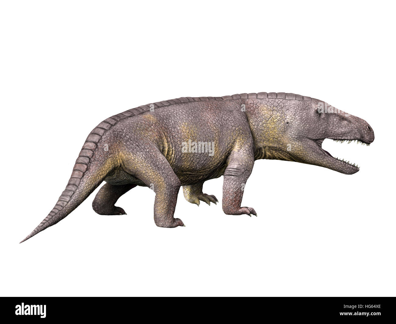 Erythrosuchus ist ein Reptil aus der mittleren Trias von Südafrika. Stockfoto