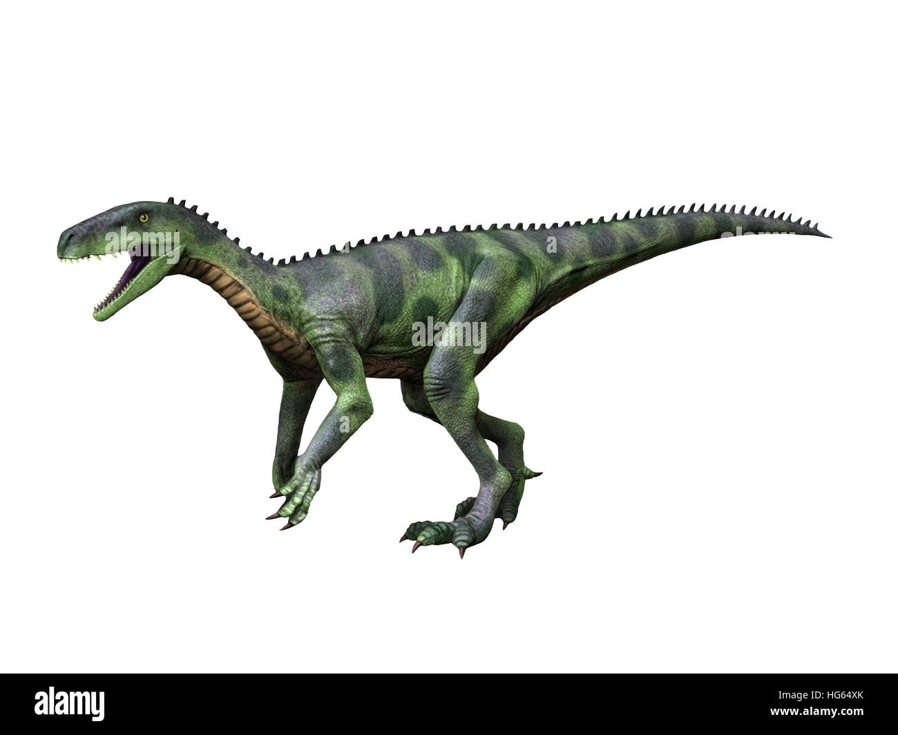 Herrerasaurus ist ein theropoder Dinosaurier aus der späten Trias Argentiniens. Stockfoto