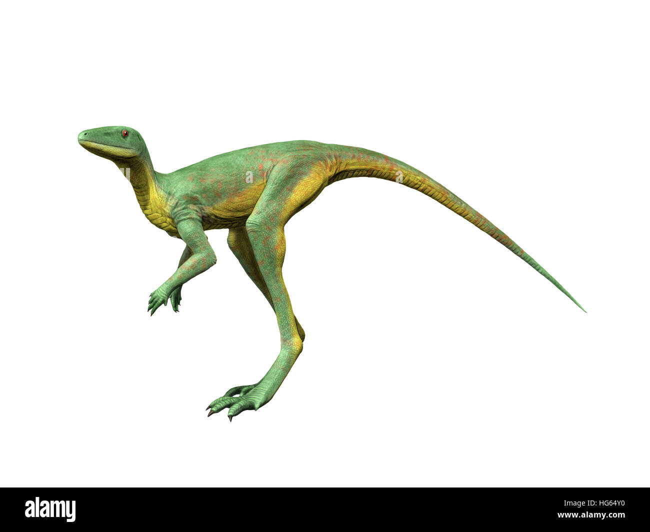 Lagerpeton ist eine ausgestorbene Dinosauromorph aus der mittleren Trias Argentiniens. Stockfoto
