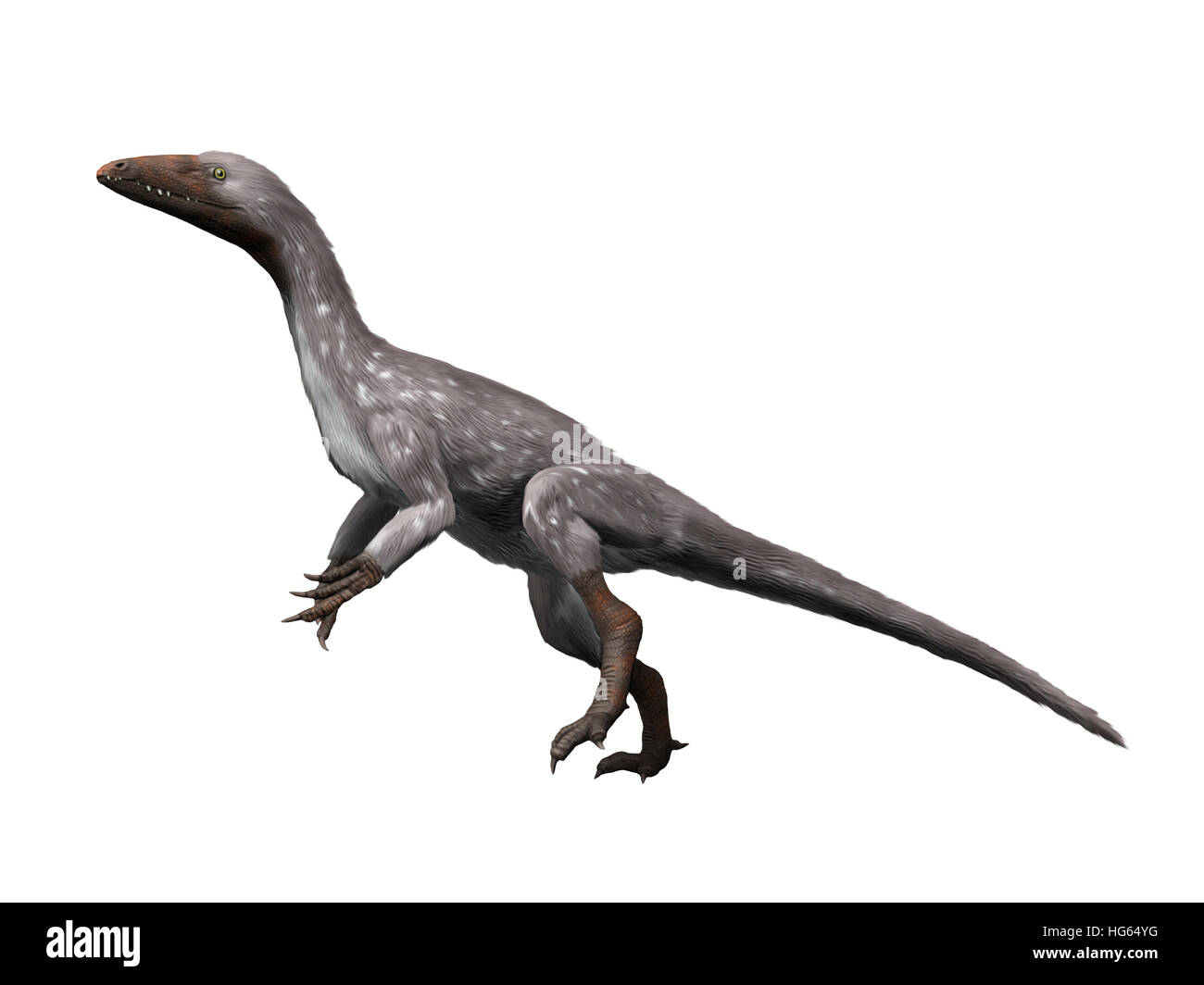 Tawa Hallae ist ein theropoder Dinosaurier aus der späten Trias von New Mexico. Stockfoto