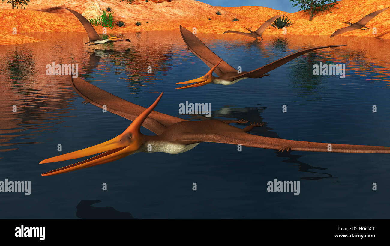 Pteranodon Reptilien auf der Suche nach Nahrung in einem See. Stockfoto