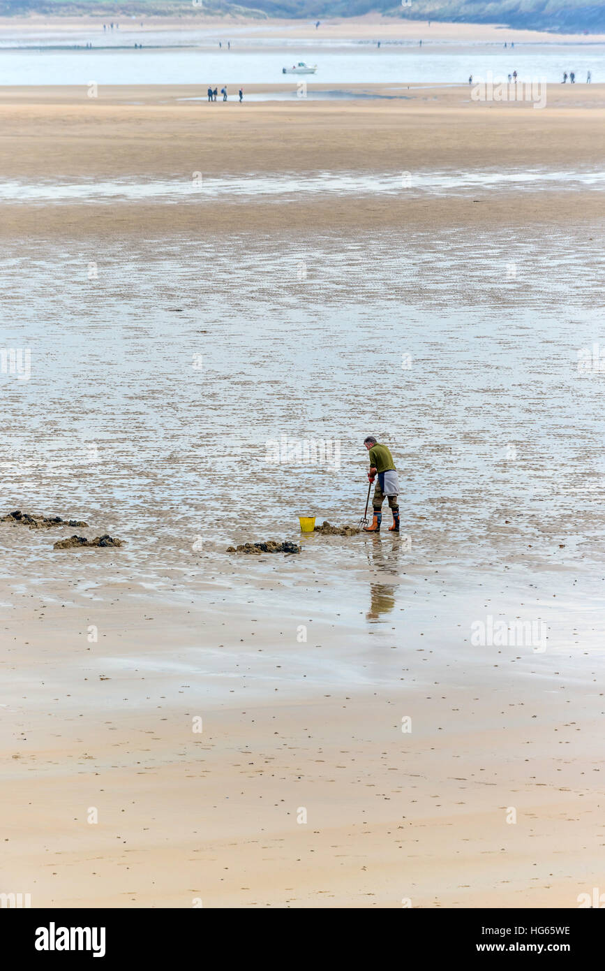 Ein Mann auf der Suche nach Köder bei Ebbe in der Mündung des Flusses Camel in der Nähe von Padstow Stockfoto