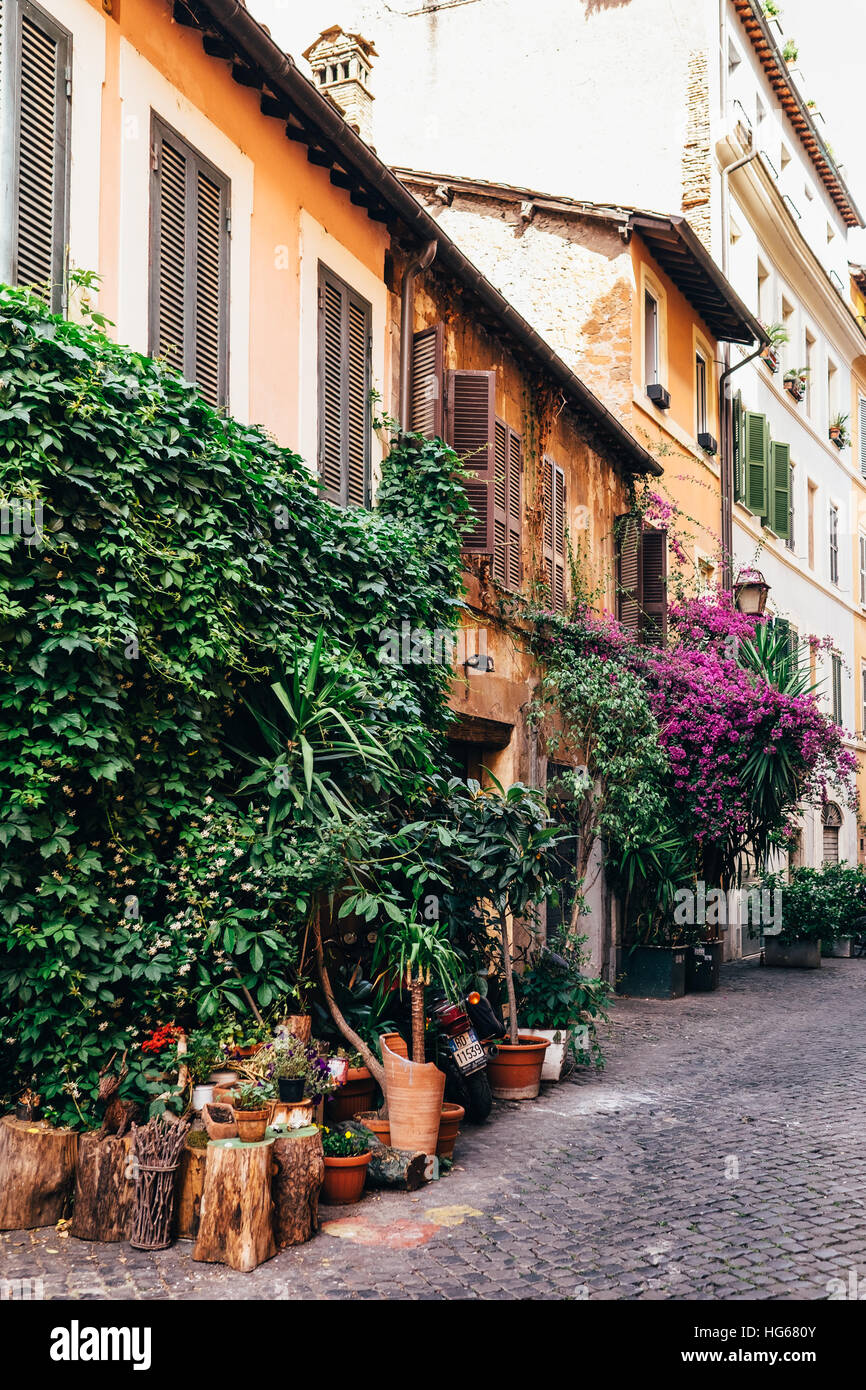 Üppige grüne Reben wachsen auf Häuser im historischen Zentrum von Rom, Italien Stockfoto