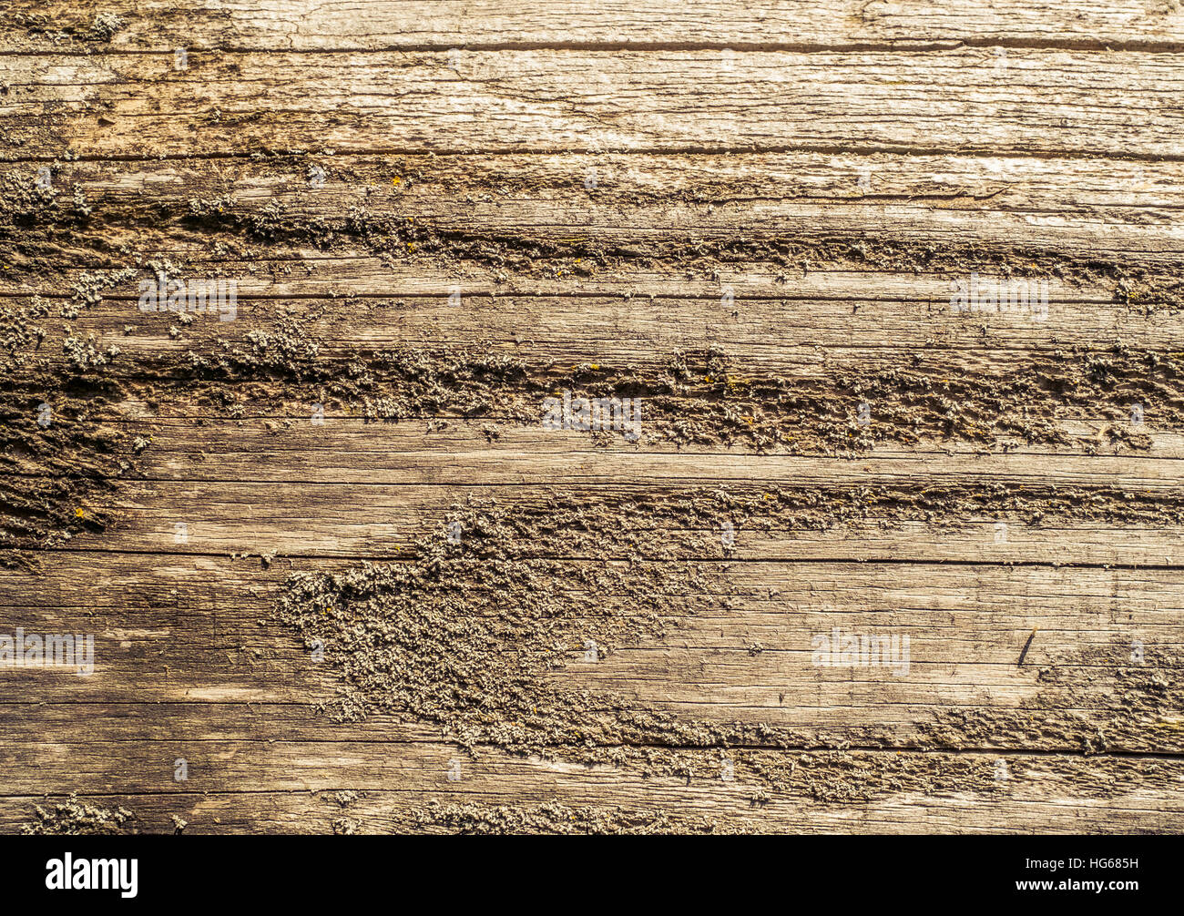 grobe Holzplatte in Sepia Farbe Stockfoto