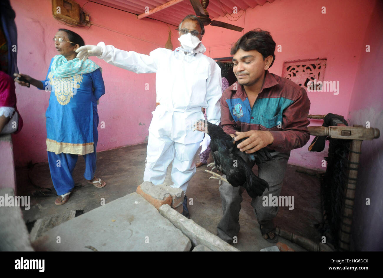 Ahmedabad, Bundesstaat Gujarat. 4. Januar 2017. Ein Arzt der Tierhaltung sammelt ein Huhn, in der Nähe von Vogelgrippe betroffenen Bereich am Hathijan in Ahmedabad, die größte Stadt des westindischen Bundesstaat Gujarat, 4. Januar 2017 zu Keulen. Dies ist die zweite Ansteckung des H5N1-Virus in Gujarat, während die erste im Jahr 2006 bemerkt wurde berichteten lokale Medien. © Stringer/Xinhua/Alamy Live-Nachrichten Stockfoto