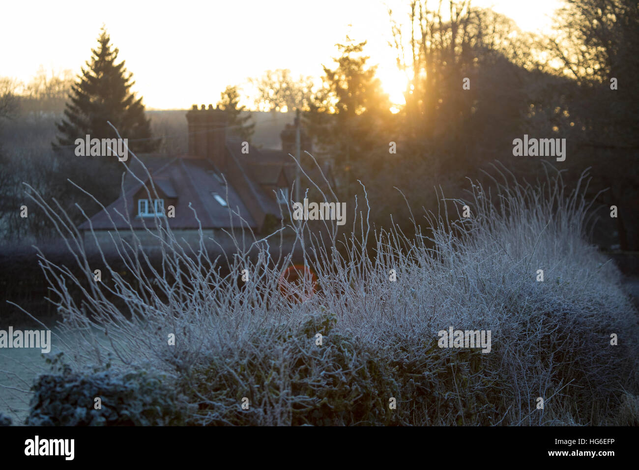 Flintshire, Wales, UK 5. Januar 2017, klarer Himmel und extreme Temperaturen hinterließen viele Teile des Vereinigten Königreichs einschließlich Flintshire, mit Temperaturen weit unter-5 heute morgen Vormittag mit Frost. Gefrorene Landschaft in dem Dorf Nannerch in Flintshire © DGDImages/Alamy Live News Stockfoto