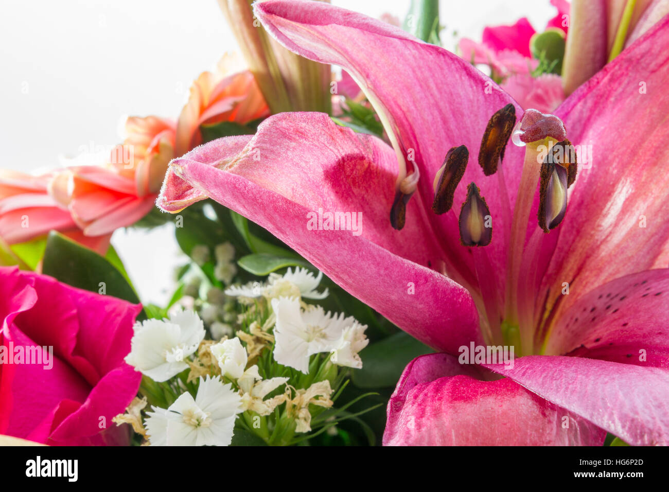 Blume Blumenstrauß extreme Nahaufnahme mit prominenten violett Lilly und andere Blumen Stockfoto