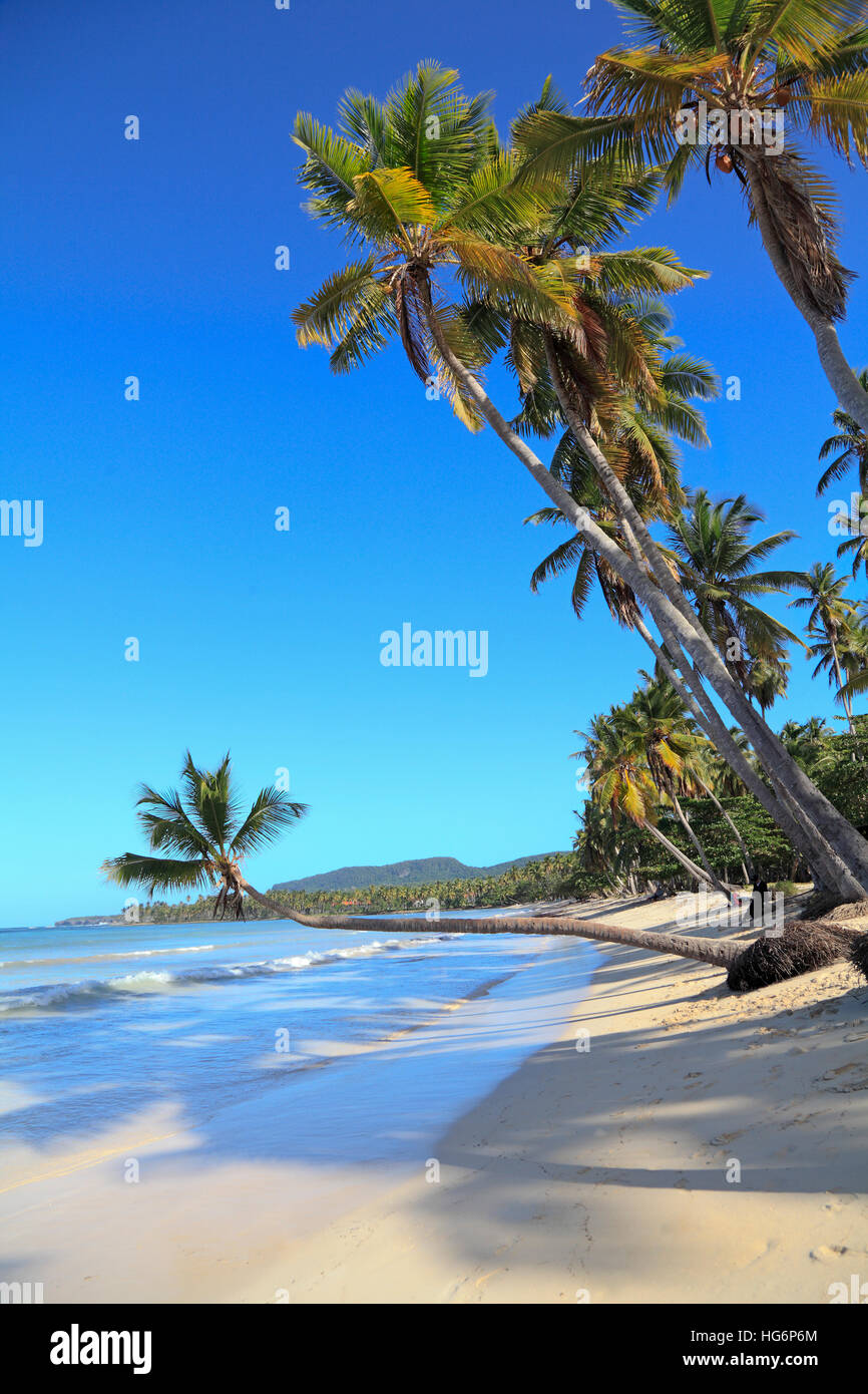 Tropical Beach in der Nähe von Las Galeras Ortschaft in Samana, Dominikanische Republik Stockfoto