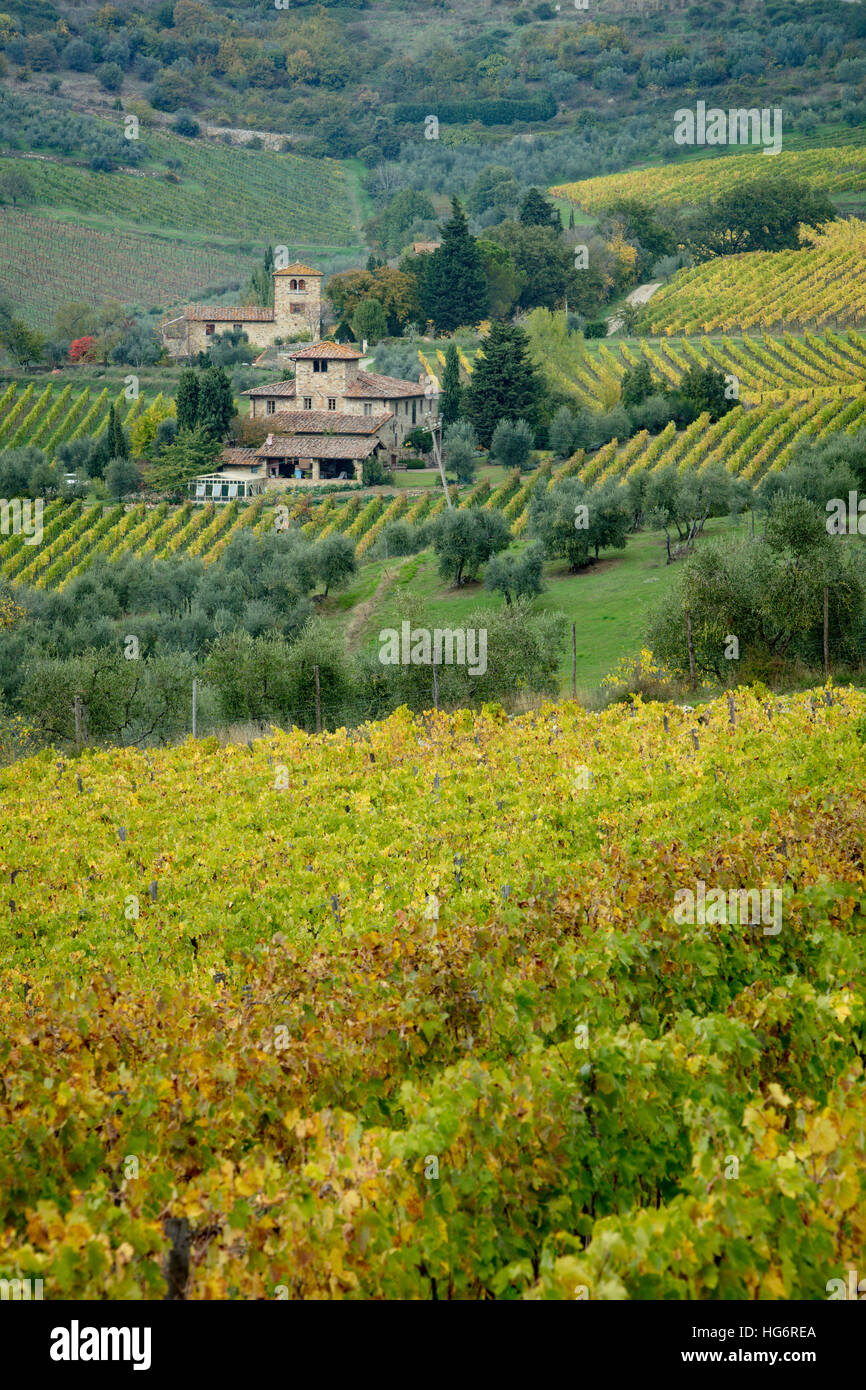 Weinberge und Villen am Hang unterhalb Panzano, Toskana, Italien Stockfoto