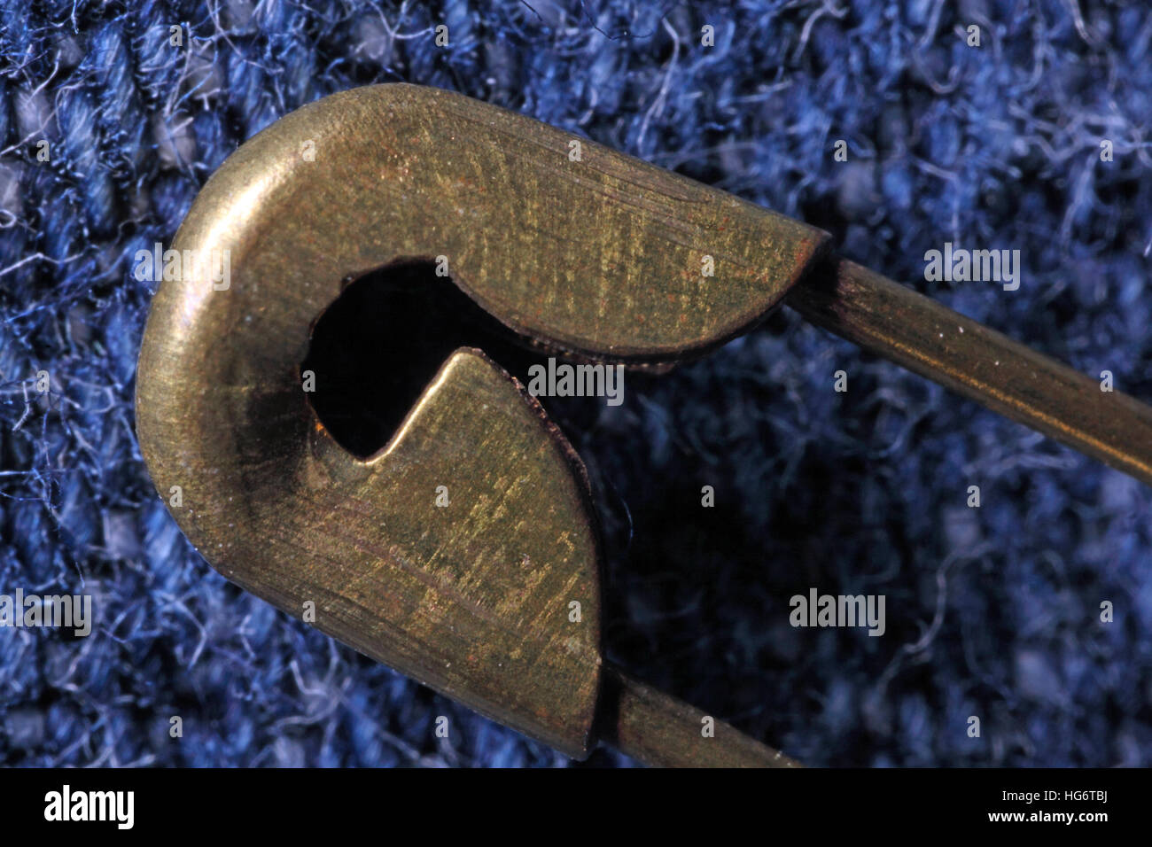 Kopf einer Messing-Sicherheitsnadel auf blauem Hintergrund Stockfoto